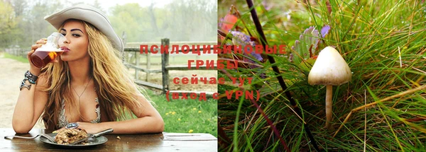 MESCALINE Богданович