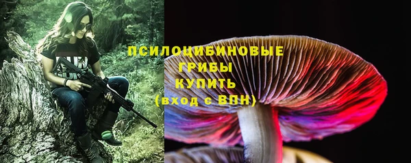 экстази Богородицк