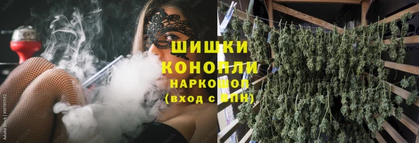 стафф Богородск