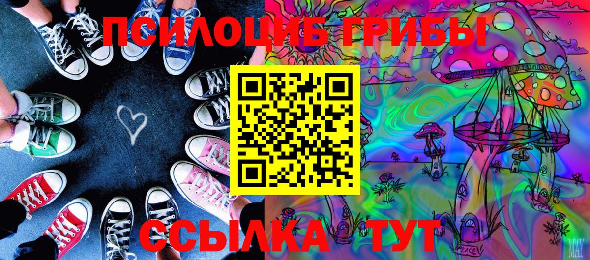 Галлюциногенные грибы прущие грибы  Вход с VPN  Острогожск  наркошоп  Галлюциногенные грибы Psilocybe 